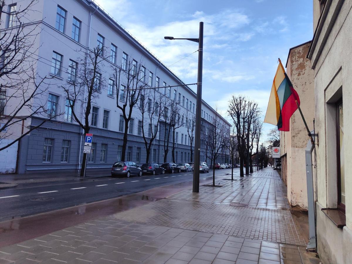 Owl Jazz Apartments - Luxury Apartments In The Heart Of The City Kaunas Buitenkant foto
